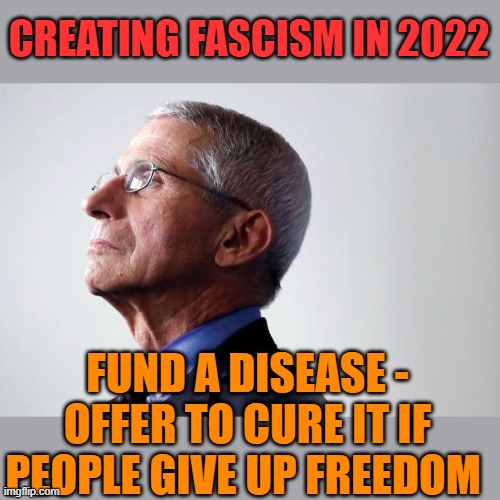 ...get money and power accordingly | CREATING FASCISM IN 2022; FUND A DISEASE -
OFFER TO CURE IT IF PEOPLE GIVE UP FREEDOM | image tagged in fauci snub,fascism | made w/ Imgflip meme maker