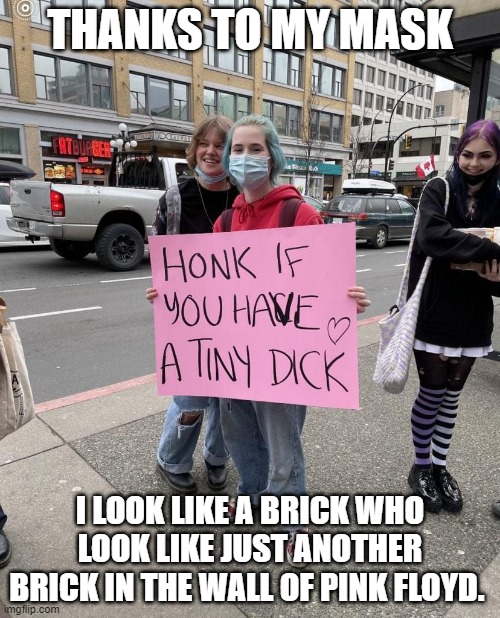 Maskedpuff | THANKS TO MY MASK; I LOOK LIKE A BRICK WHO LOOK LIKE JUST ANOTHER BRICK IN THE WALL OF PINK FLOYD. | image tagged in maskedpuff | made w/ Imgflip meme maker