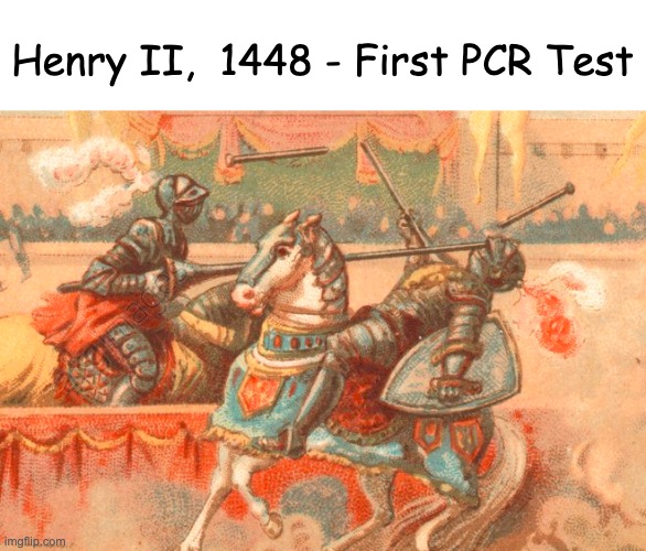 First contact | Henry II,  1448 - First PCR Test | image tagged in test,covid,history | made w/ Imgflip meme maker