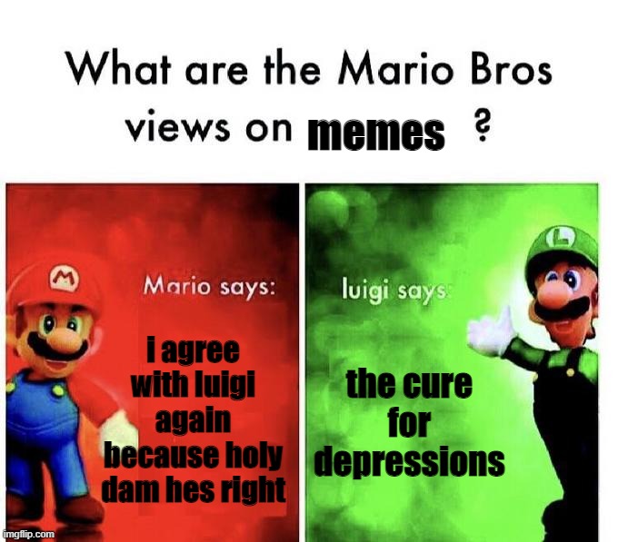 mario bros views on memes | memes; i agree with luigi again because holy dam hes right; the cure for depressions | image tagged in mario bros views | made w/ Imgflip meme maker