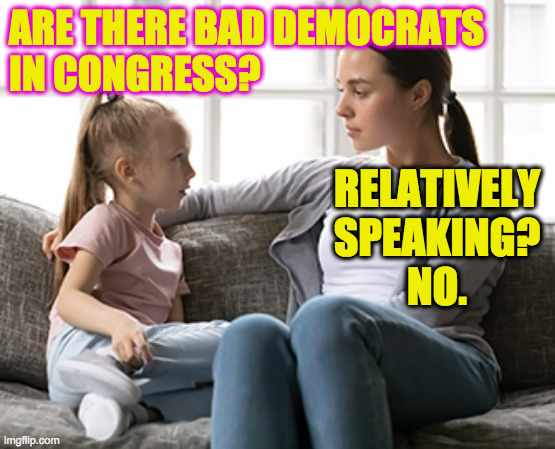 mother daughter talk | ARE THERE BAD DEMOCRATS
IN CONGRESS? RELATIVELY
SPEAKING?
NO. | image tagged in mother daughter talk | made w/ Imgflip meme maker