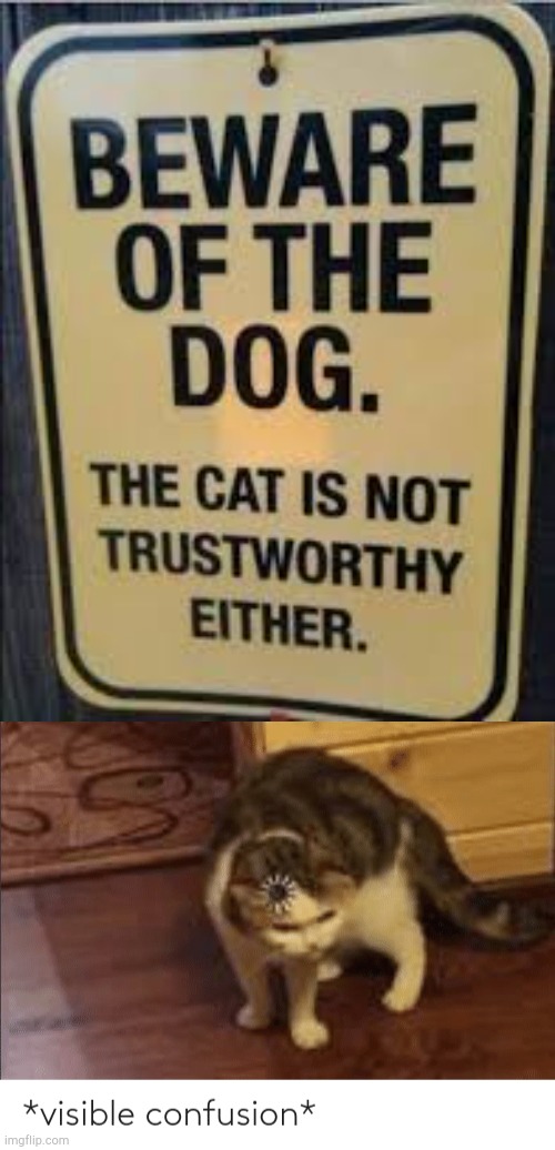 Beware of dog or cat???? | image tagged in visible confusion,memes,stupid signs,funny sign | made w/ Imgflip meme maker