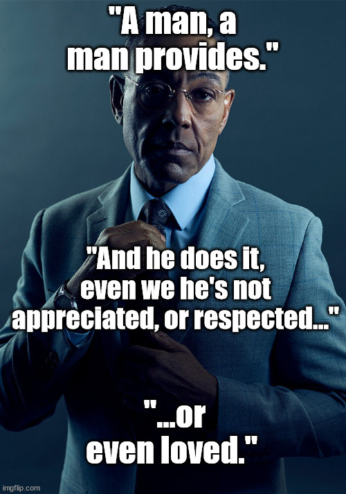 A man provides | "A man, a man provides."; "And he does it, even we he's not appreciated, or respected..."; "...or even loved." | image tagged in gus fring we are not the same | made w/ Imgflip meme maker