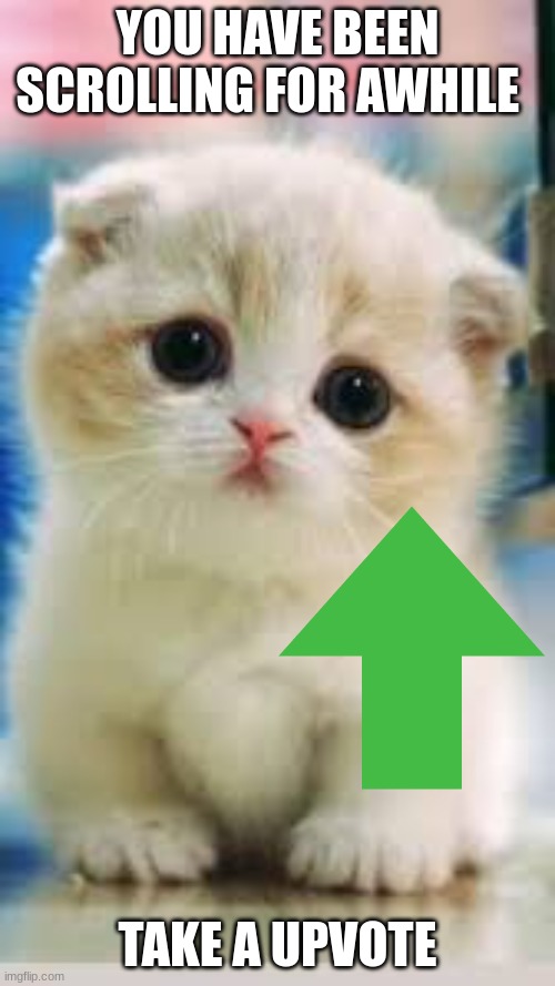 YOU HAVE BEEN SCROLLING FOR AWHILE; TAKE A UPVOTE | image tagged in cats | made w/ Imgflip meme maker
