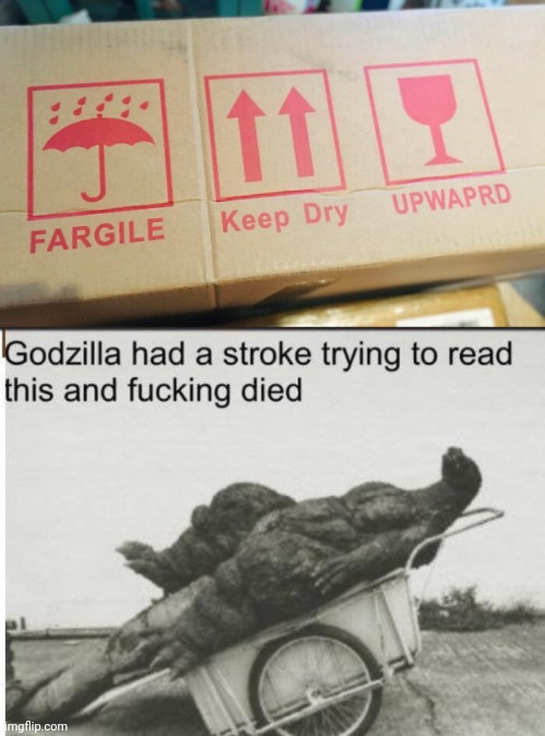 "Fragile-throw underhand" | image tagged in godzilla,package,be careful,angry wet cat | made w/ Imgflip meme maker