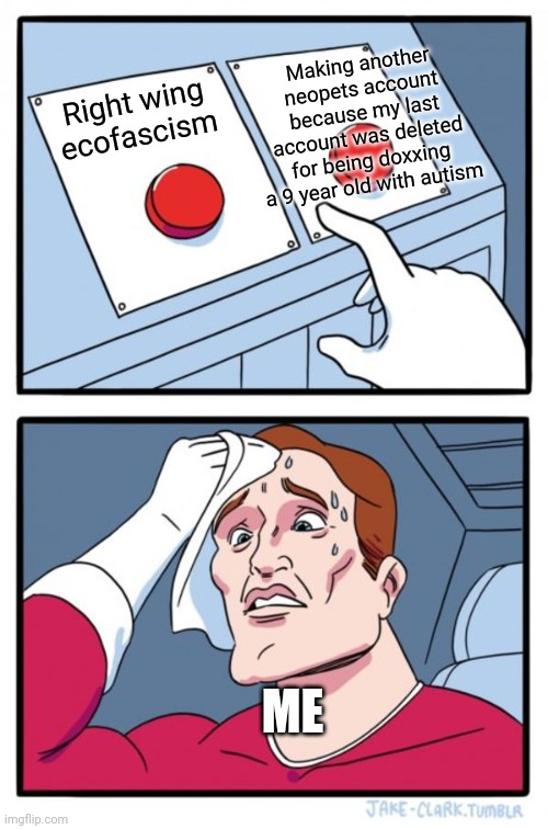 Two Buttons Meme | Making another neopets account because my last account was deleted for being doxxing a 9 year old with autism; Right wing ecofascism; ME | image tagged in memes,two buttons | made w/ Imgflip meme maker