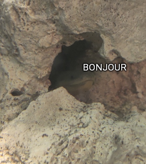 I fixed it :p | image tagged in bonjour | made w/ Imgflip meme maker