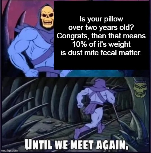 Until we meet again. | Is your pillow over two years old? Congrats, then that means 10% of it's weight is dust mite fecal matter. | image tagged in until we meet again | made w/ Imgflip meme maker