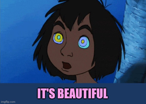 Hypnotized Mowgli | IT'S BEAUTIFUL | image tagged in hypnotized mowgli | made w/ Imgflip meme maker