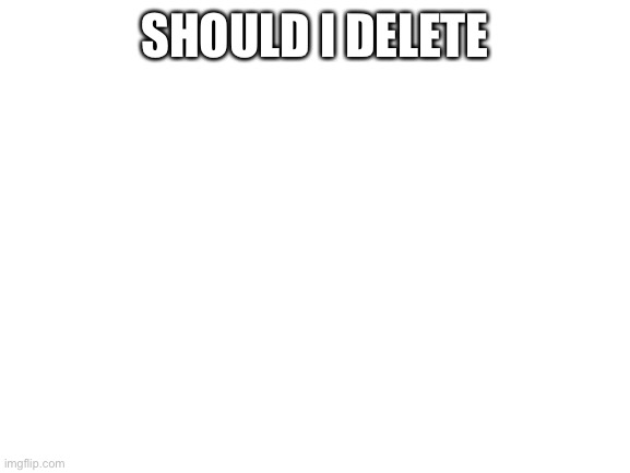 Blank White Template | SHOULD I DELETE | image tagged in blank white template | made w/ Imgflip meme maker