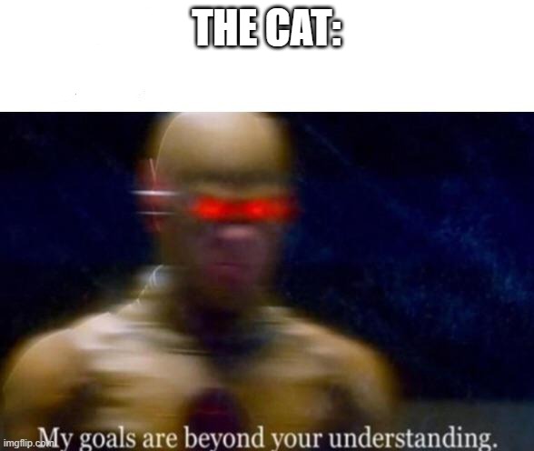My Goals are Beyond your Understanding | THE CAT: | image tagged in my goals are beyond your understanding | made w/ Imgflip meme maker