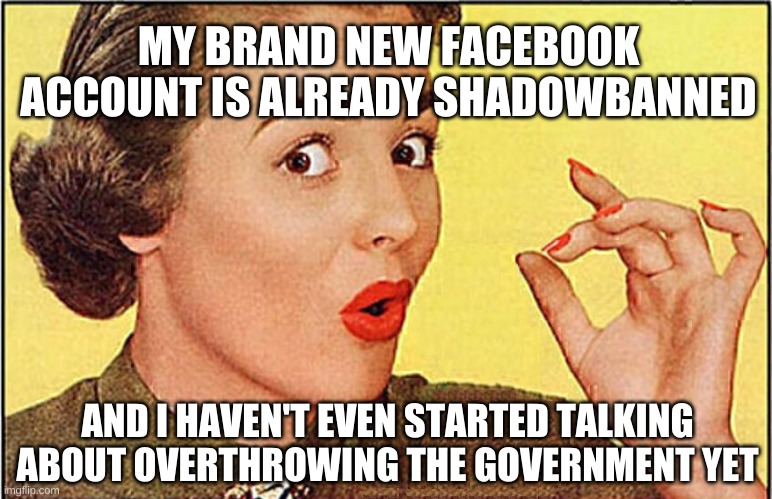 MY BRAND NEW FACEBOOK ACCOUNT IS ALREADY SHADOWBANNED; AND I HAVEN'T EVEN STARTED TALKING ABOUT OVERTHROWING THE GOVERNMENT YET | image tagged in censorship,facebook,1950s housewife,banned,government,government shutdown | made w/ Imgflip meme maker