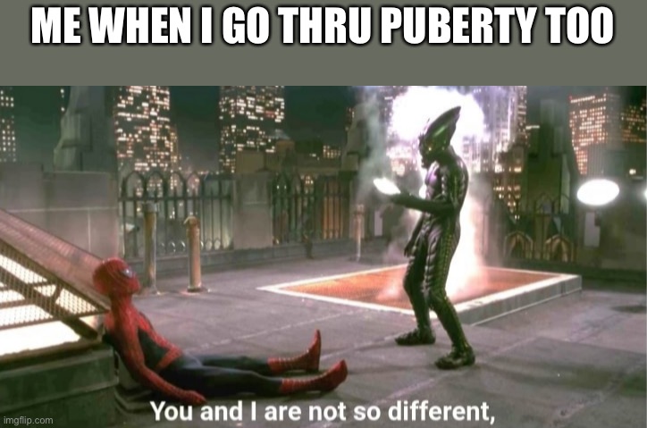 You and i are not so diffrent | ME WHEN I GO THRU PUBERTY TOO | image tagged in you and i are not so diffrent | made w/ Imgflip meme maker