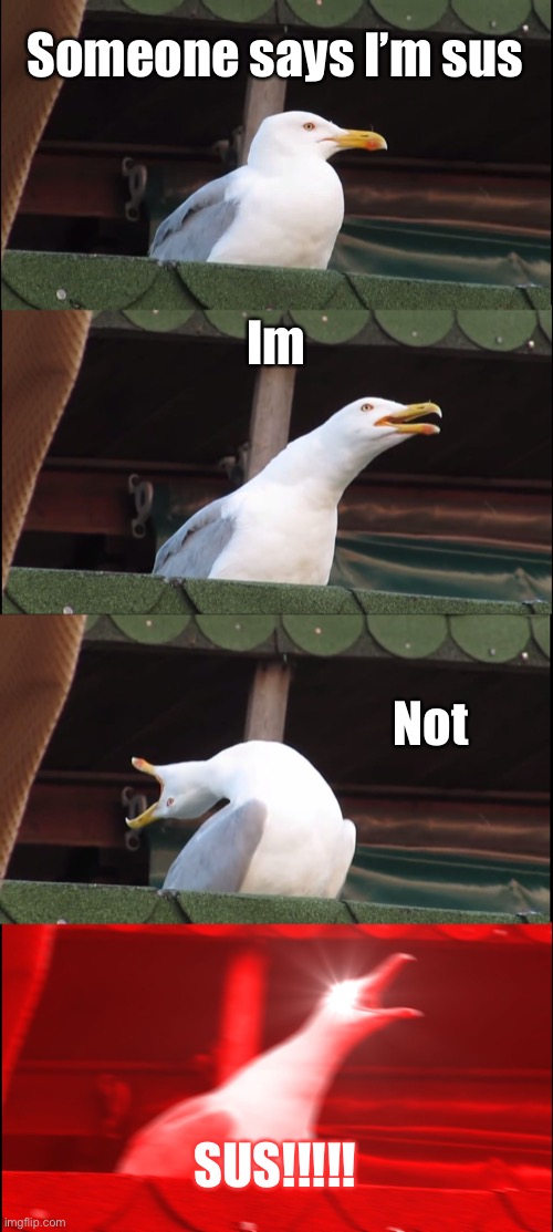 Inhaling Seagull Meme | Someone says I’m sus; Im; Not; SUS!!!!! | image tagged in memes,inhaling seagull | made w/ Imgflip meme maker