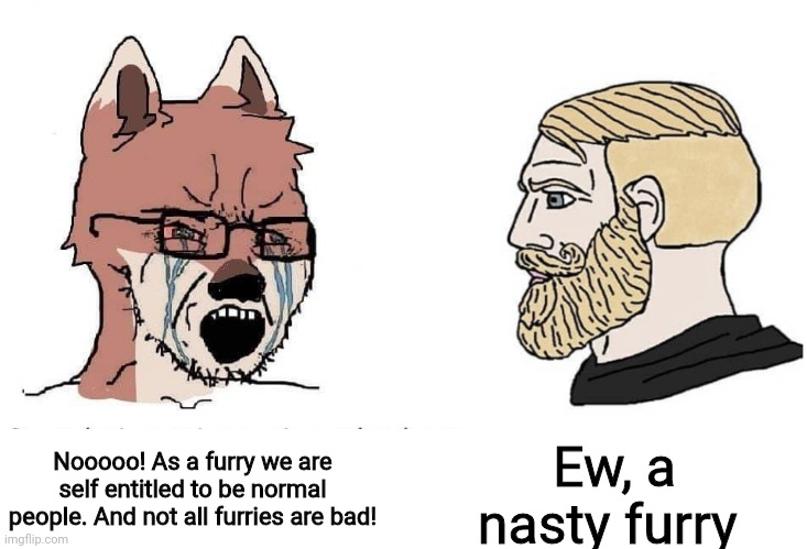 This is more like furries in reality | Ew, a nasty furry; Nooooo! As a furry we are self entitled to be normal people. And not all furries are bad! | image tagged in soyboy vs yes chad,the furry fandom,anti furry,crybaby | made w/ Imgflip meme maker
