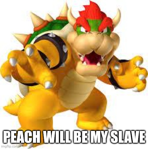 Bowser | PEACH WILL BE MY SLAVE | image tagged in bowser | made w/ Imgflip meme maker