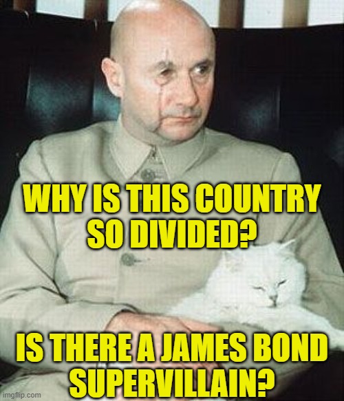 Supervillian | WHY IS THIS COUNTRY
SO DIVIDED? IS THERE A JAMES BOND
SUPERVILLAIN? | image tagged in division | made w/ Imgflip meme maker