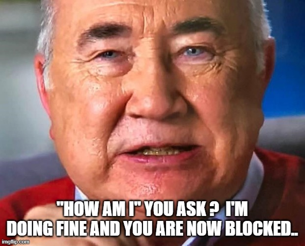 DM | "HOW AM I" YOU ASK ?  I'M DOING FINE AND YOU ARE NOW BLOCKED.. | image tagged in blocked | made w/ Imgflip meme maker