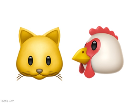 Blank White Template | 🐱🐔 | image tagged in blank white template | made w/ Imgflip meme maker