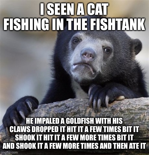 Confession Bear Meme | I SEEN A CAT FISHING IN THE FISHTANK HE IMPALED A GOLDFISH WITH HIS CLAWS DROPPED IT HIT IT A FEW TIMES BIT IT SHOOK IT HIT IT A FEW MORE TI | image tagged in memes,confession bear | made w/ Imgflip meme maker
