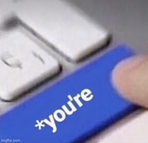 you're | image tagged in you're | made w/ Imgflip meme maker