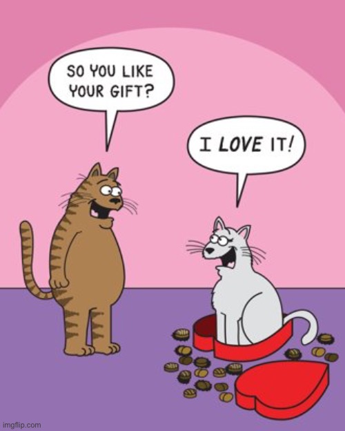 image tagged in funny memes,valentine's day,comics/cartoons | made w/ Imgflip meme maker