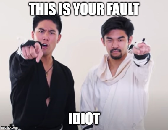 When your brother blames you for destroying the flower vase: | THIS IS YOUR FAULT; IDIOT | image tagged in ryan higa,funny memes | made w/ Imgflip meme maker