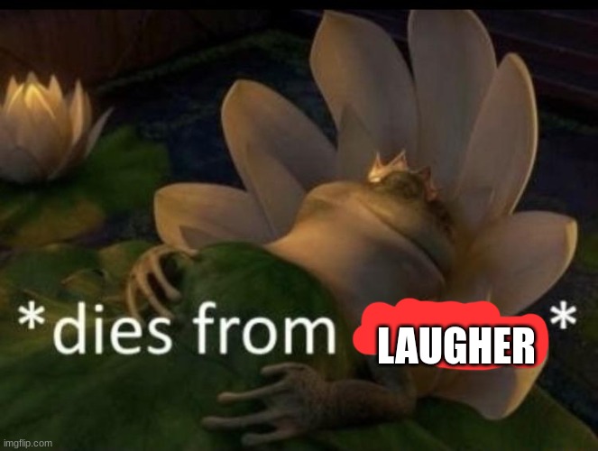 Dies from cringe | LAUGHER | image tagged in dies from cringe | made w/ Imgflip meme maker