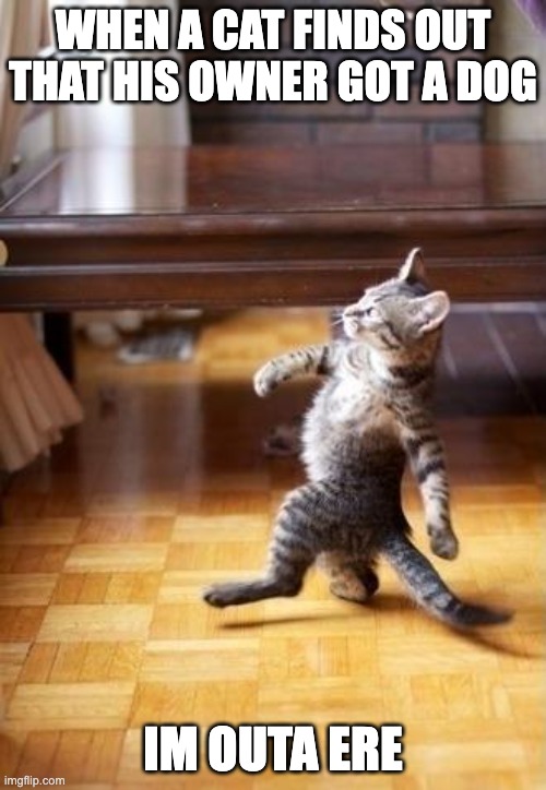Cool Cat Stroll Meme | WHEN A CAT FINDS OUT THAT HIS OWNER GOT A DOG; IM OUTA ERE | image tagged in memes,cool cat stroll | made w/ Imgflip meme maker