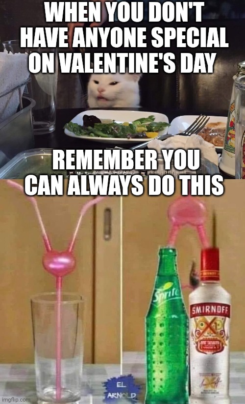  WHEN YOU DON'T HAVE ANYONE SPECIAL ON VALENTINE'S DAY; REMEMBER YOU CAN ALWAYS DO THIS | image tagged in smudge the cat | made w/ Imgflip meme maker