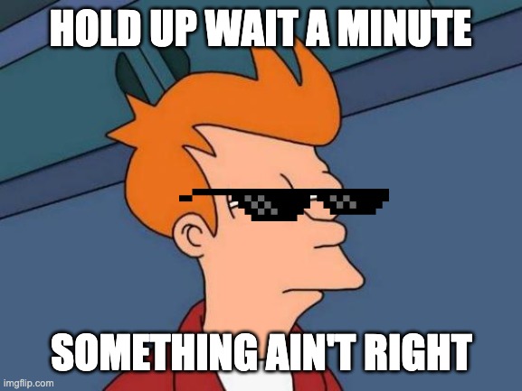 MEME2346 | HOLD UP WAIT A MINUTE; SOMETHING AIN'T RIGHT | image tagged in memes,futurama fry | made w/ Imgflip meme maker