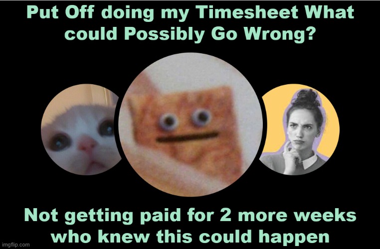 who Knew This Could Happen | image tagged in timesheet reminder,timesheet meme,aint nobody got time for that,what could go wrong,broke man | made w/ Imgflip meme maker