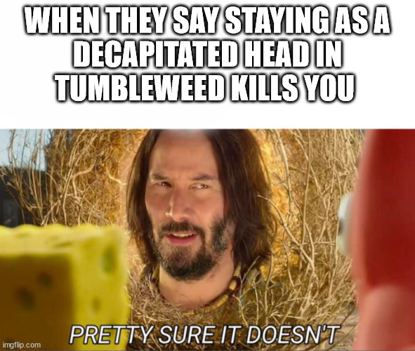 im pretty sure it doesnt | WHEN THEY SAY STAYING AS A
 DECAPITATED HEAD IN 
TUMBLEWEED KILLS YOU | image tagged in im pretty sure it doesnt | made w/ Imgflip meme maker