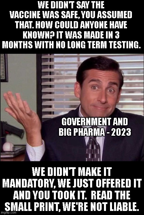 Michael Scott | WE DIDN'T SAY THE VACCINE WAS SAFE, YOU ASSUMED THAT. HOW COULD ANYONE HAVE KNOWN? IT WAS MADE IN 3 MONTHS WITH NO LONG TERM TESTING. GOVERNMENT AND BIG PHARMA - 2023; WE DIDN'T MAKE IT MANDATORY, WE JUST OFFERED IT AND YOU TOOK IT.  READ THE SMALL PRINT, WE'RE NOT LIABLE. | image tagged in michael scott | made w/ Imgflip meme maker