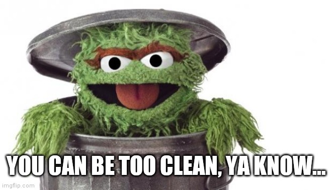 Oscar trashcan Sesame street | YOU CAN BE TOO CLEAN, YA KNOW... | image tagged in oscar trashcan sesame street | made w/ Imgflip meme maker