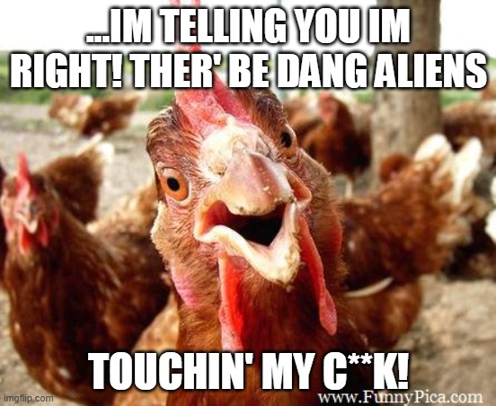 Im telling the truth! | ...IM TELLING YOU IM RIGHT! THER' BE DANG ALIENS; TOUCHIN' MY C**K! | image tagged in funny looking rooster insisting his point,rooster,joke,aliens | made w/ Imgflip meme maker