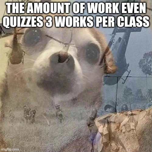 Dog PTSD | THE AMOUNT OF WORK EVEN QUIZZES 3 WORKS PER CLASS | image tagged in dog ptsd | made w/ Imgflip meme maker