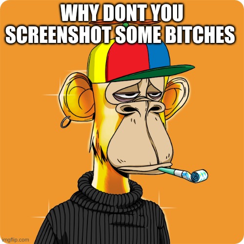 NFT | WHY DONT YOU SCREENSHOT SOME BITCHES | image tagged in nft | made w/ Imgflip meme maker