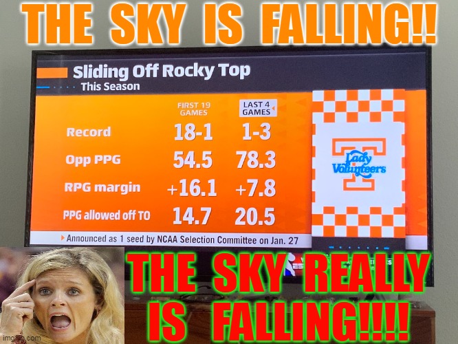 THE  SKY  IS  FALLING!! THE  SKY  REALLY
              IS   FALLING!!!! | made w/ Imgflip meme maker
