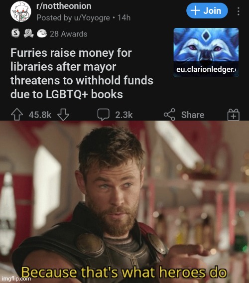 Yes | image tagged in that s what heroes do,furry,justice,library | made w/ Imgflip meme maker