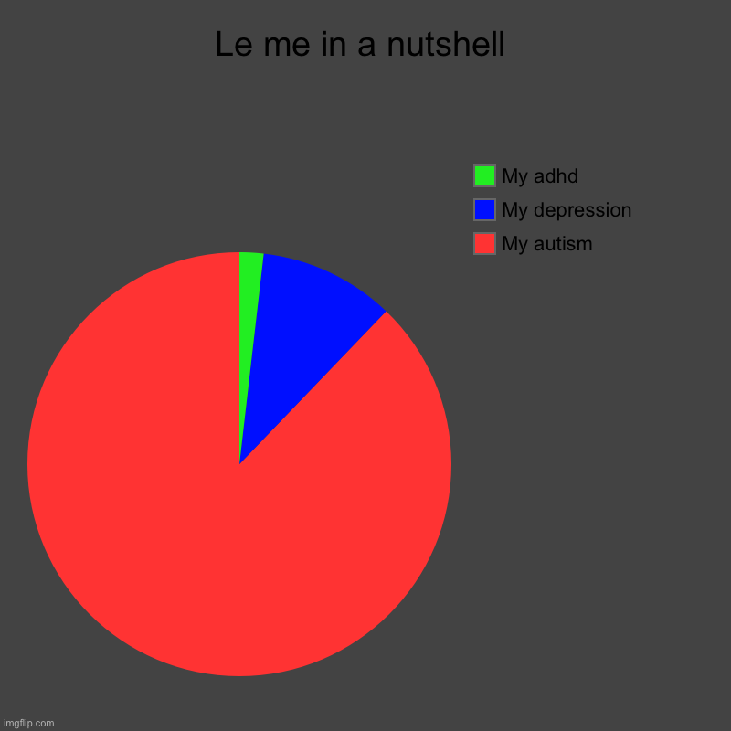 le me | Le me in a nutshell | My autism, My depression, My adhd | image tagged in charts,pie charts | made w/ Imgflip chart maker