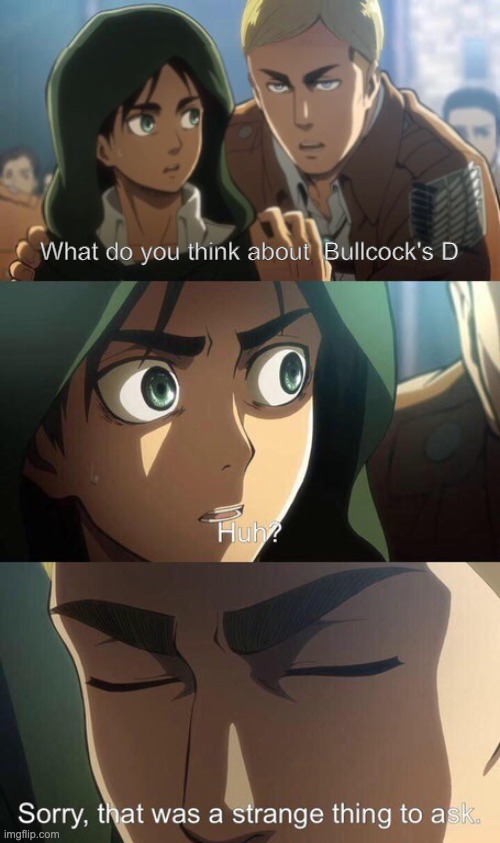 Strange question attack on titan | What do you think about  Bullcock's D | image tagged in strange question attack on titan | made w/ Imgflip meme maker