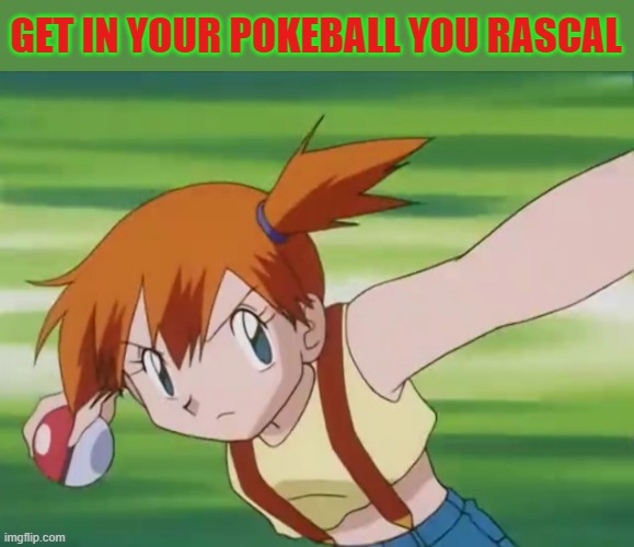 GET IN YOUR POKEBALL YOU RASCAL | made w/ Imgflip meme maker