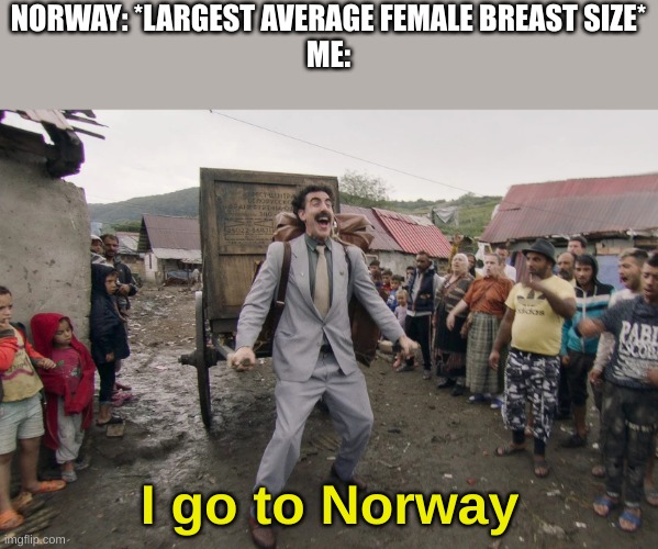 Borat i go to america | NORWAY: *LARGEST AVERAGE FEMALE BREAST SIZE*
ME:; I go to Norway | image tagged in borat i go to america | made w/ Imgflip meme maker