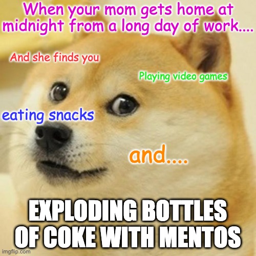 Doge Meme | When your mom gets home at midnight from a long day of work.... And she finds you; Playing video games; eating snacks; and.... EXPLODING BOTTLES OF COKE WITH MENTOS | image tagged in memes,doge | made w/ Imgflip meme maker
