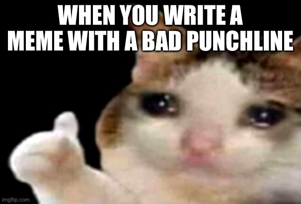 Basically most of my memes | WHEN YOU WRITE A MEME WITH A BAD PUNCHLINE | image tagged in sad cat thumbs up | made w/ Imgflip meme maker