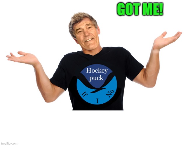GOT ME! | image tagged in hokey puck if i no | made w/ Imgflip meme maker