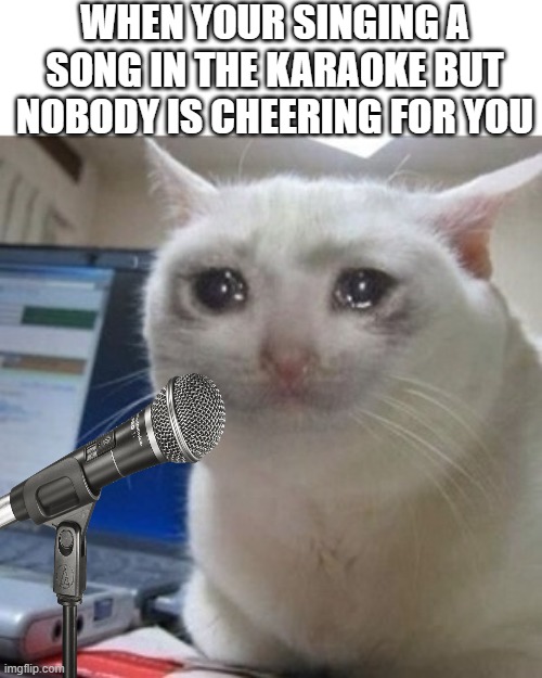 big sad |  WHEN YOUR SINGING A SONG IN THE KARAOKE BUT NOBODY IS CHEERING FOR YOU | image tagged in crying cat,memes,karaoke | made w/ Imgflip meme maker