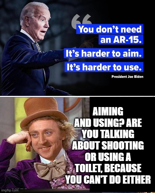 His inability to use an AR-15 sounds like a personal problem | AIMING AND USING? ARE YOU TALKING ABOUT SHOOTING OR USING A TOILET, BECAUSE YOU CAN'T DO EITHER | image tagged in 2a,ar-15,nra,biden | made w/ Imgflip meme maker