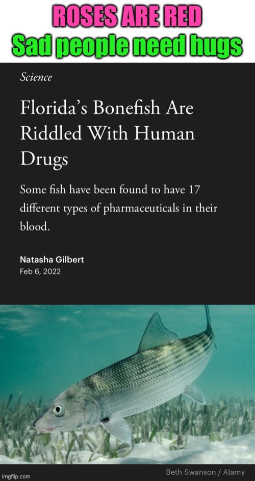 A poem | image tagged in roses,are,red,fish,on,drugs | made w/ Imgflip meme maker